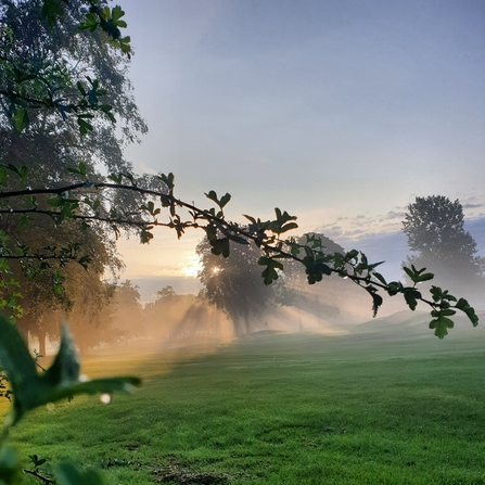 Photography Competition - Misty View